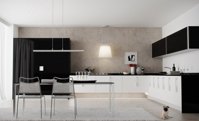 Black & White Kitchen