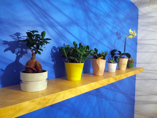 Close Up of Floating Shelf with Potted Plants